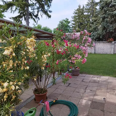 Tartos Szegfu Vendeghaz, Maganszallas Country house