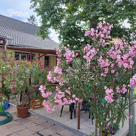 Tartos Szegfu Vendeghaz, Maganszallas
