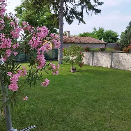 Séjour à la campagne Tartós Szegfű Vendégház, Magánszállás *