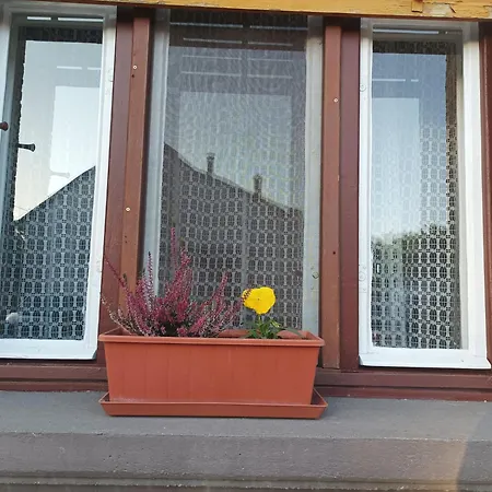 Tartos Szegfu Vendeghaz, Maganszallas * Tazlar