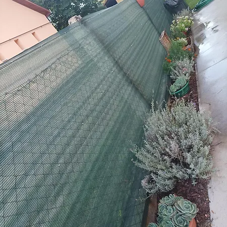 Tartos Szegfu Vendeghaz, Maganszallas